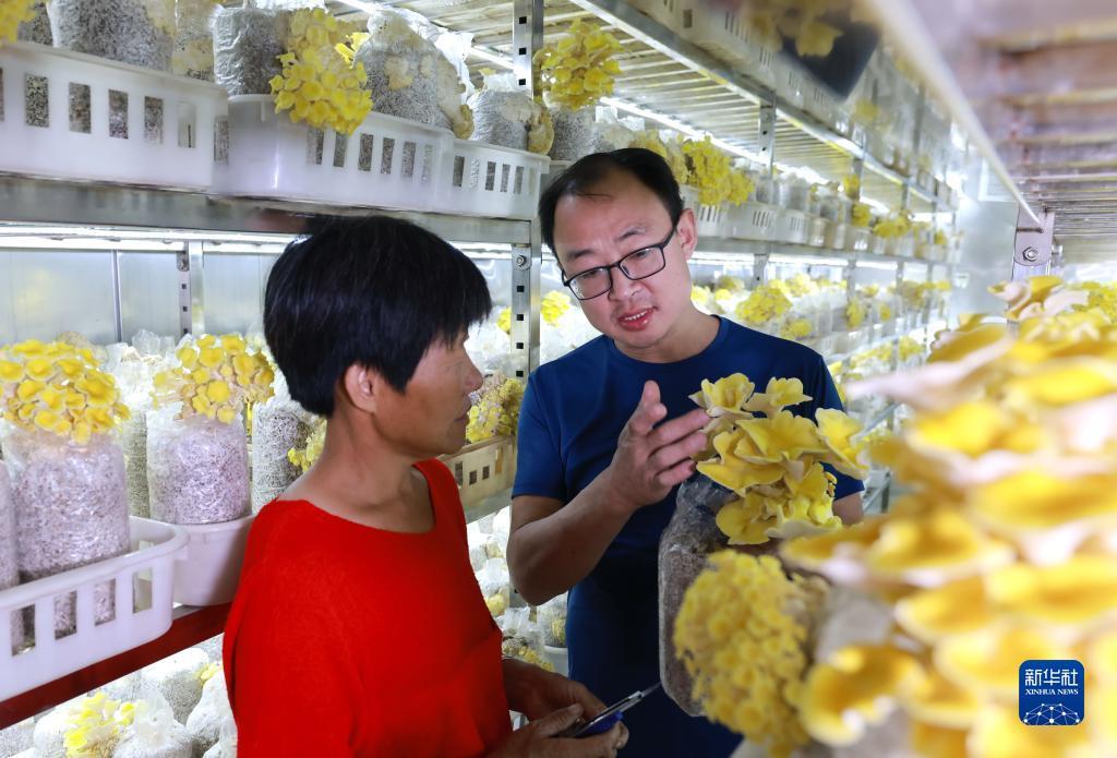 澳门威尼斯游戏